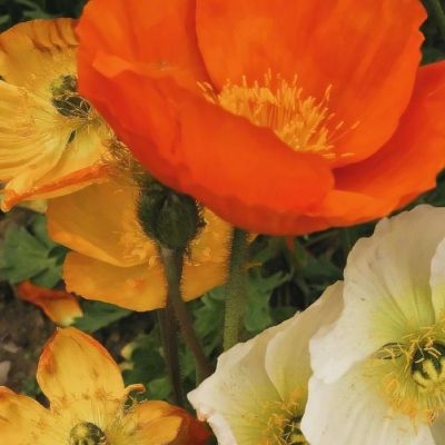 安博体育·(中国)官方网站手机app下载