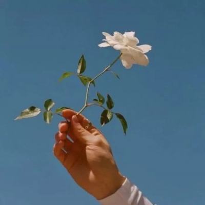 安博体育·(中国)官方网站手机app下载