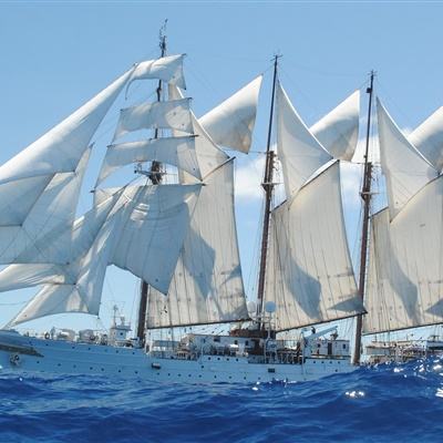 pg麻将胡了网站入口