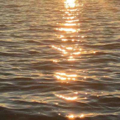 火狐电竞·huohu下载手机版